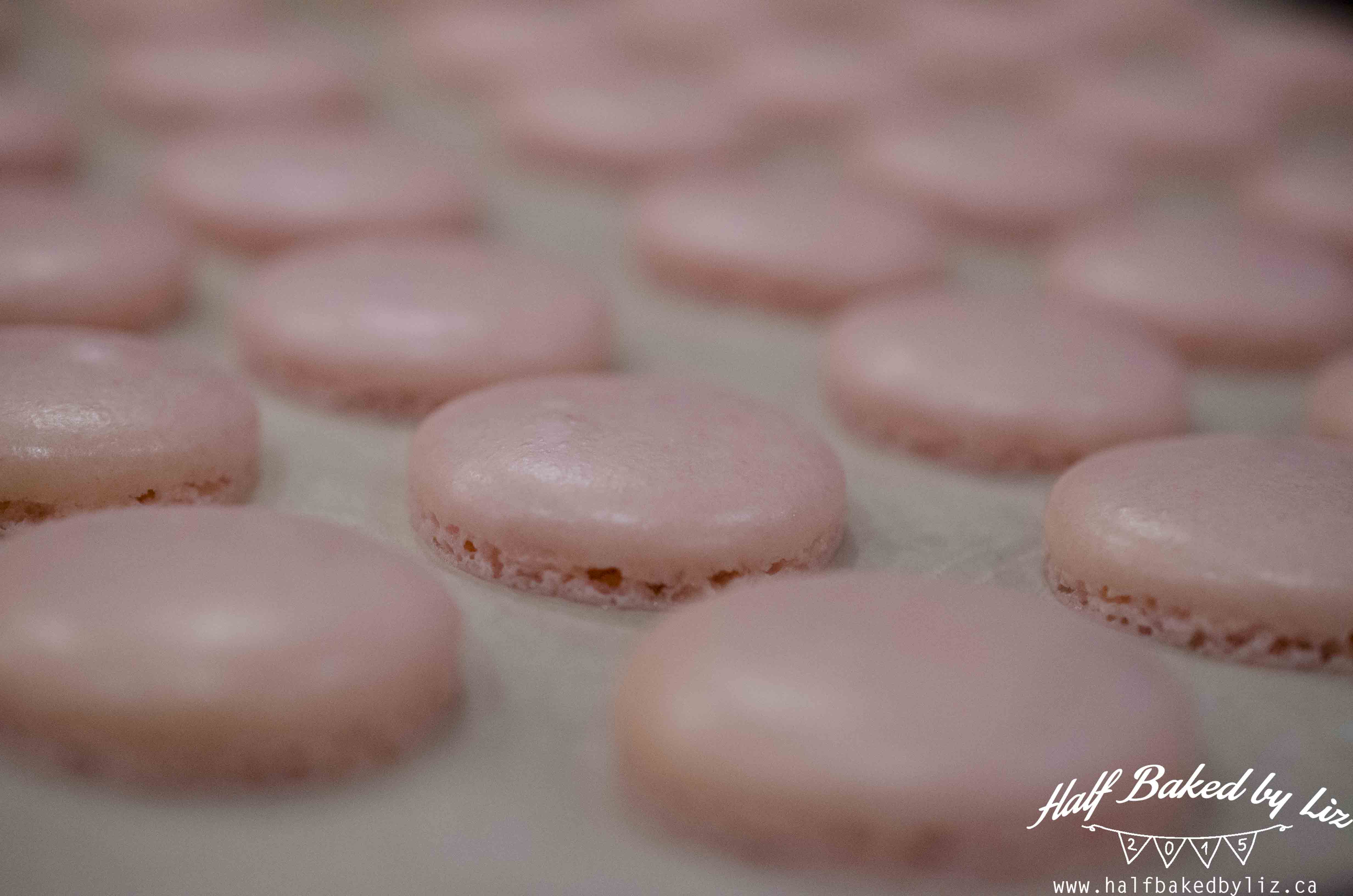 2.5 - Baked Macarons