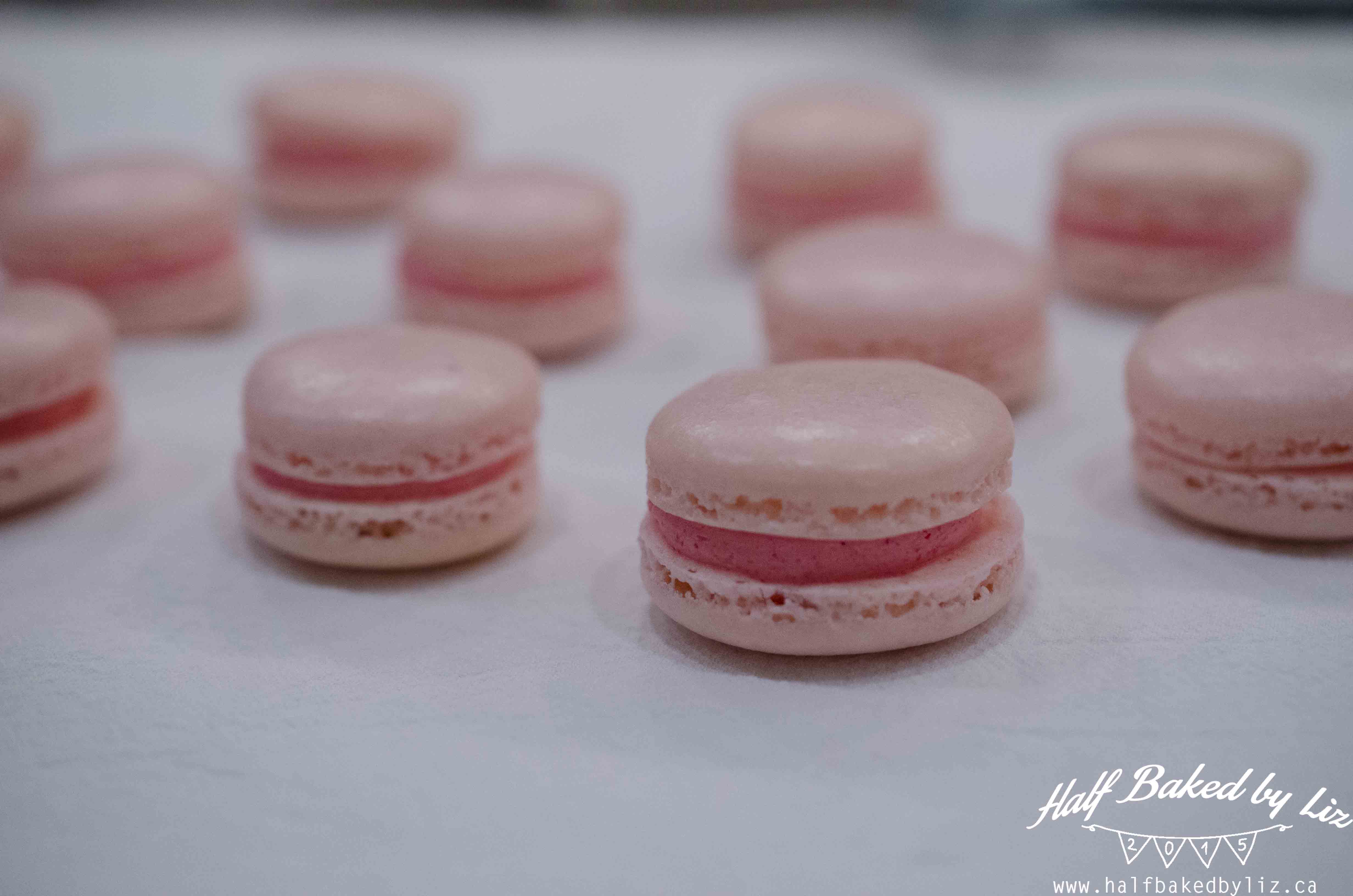 9 - Assembled Macarons