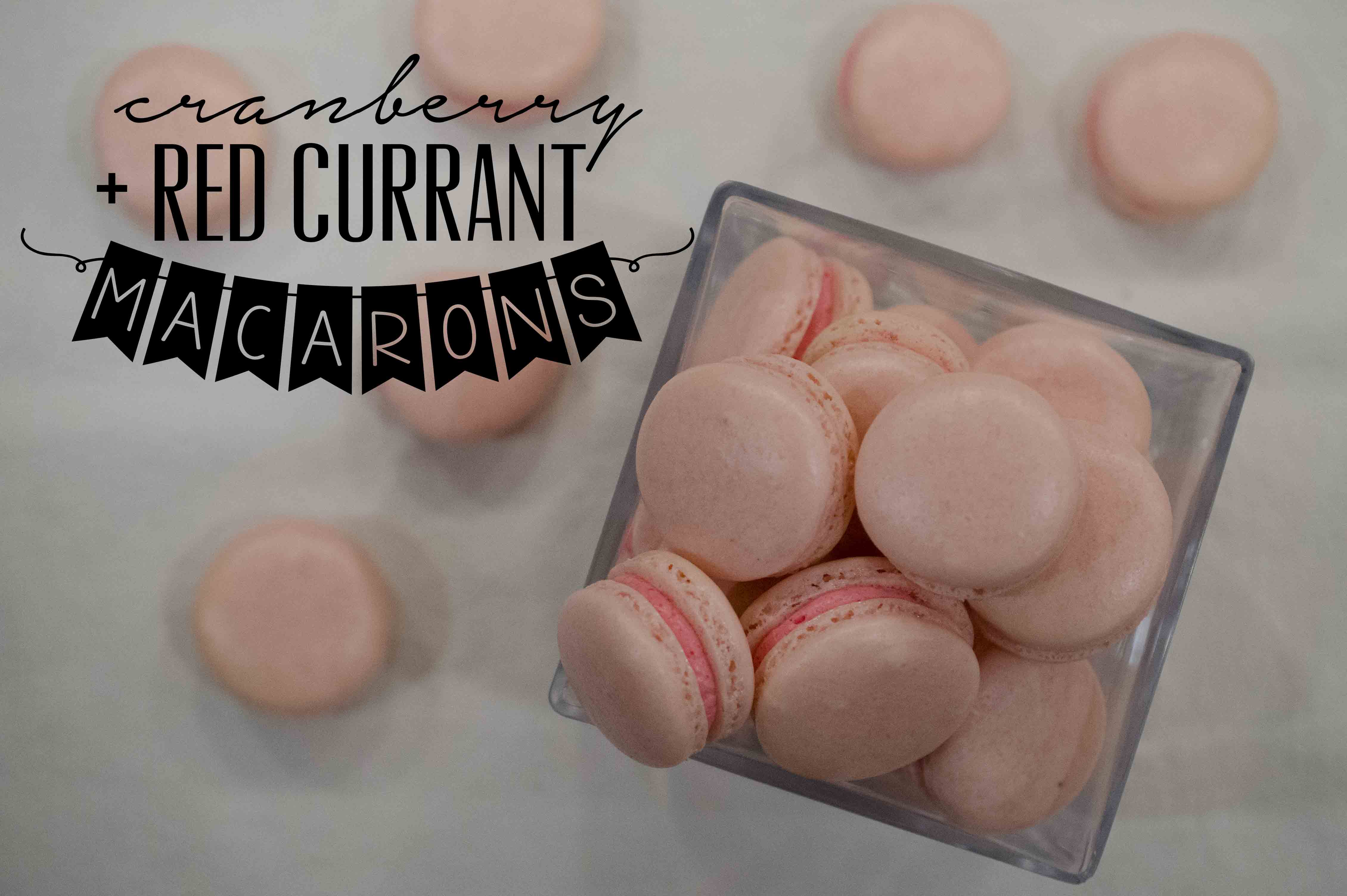 Main - Cranberry Currant Macarons