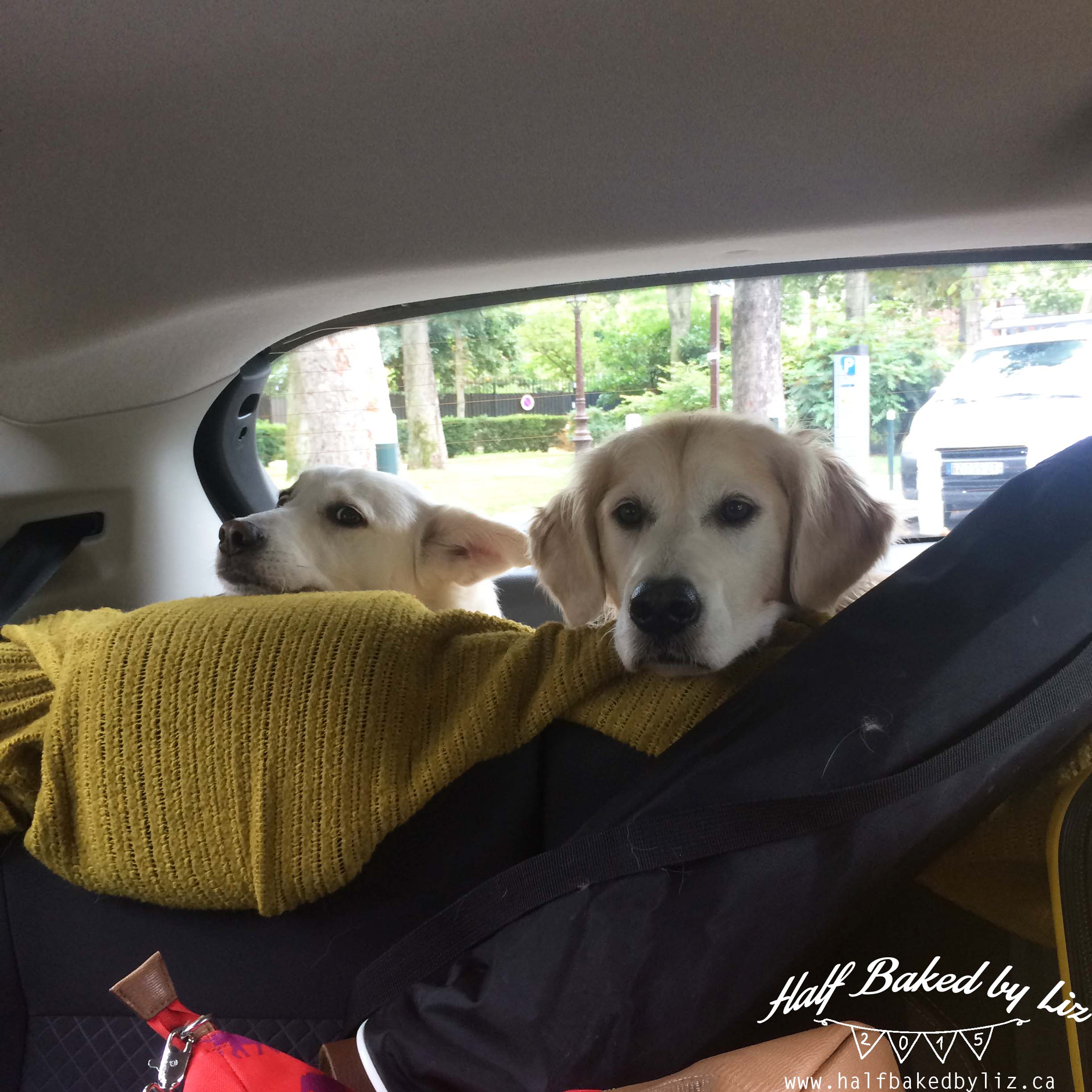 Girls in Car