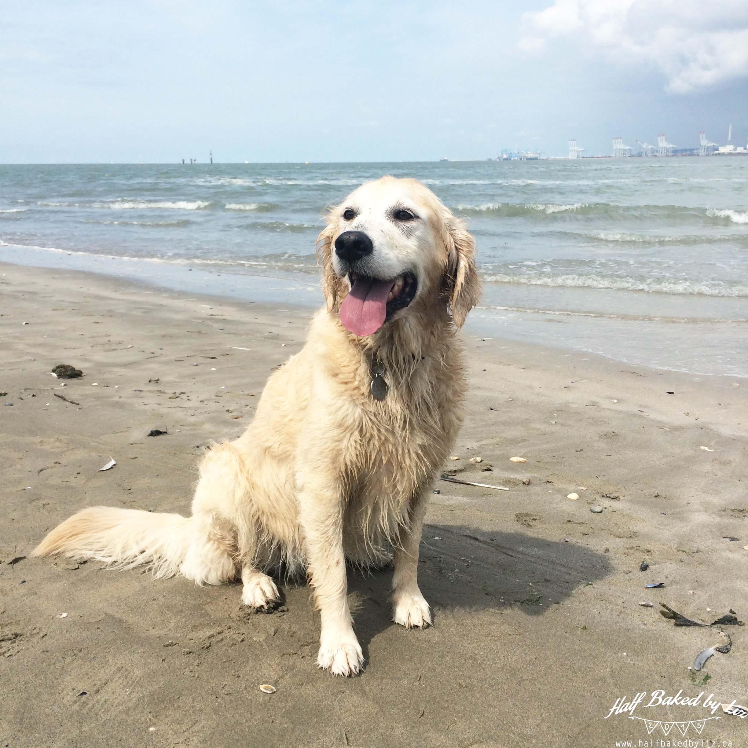 Stella at Beach