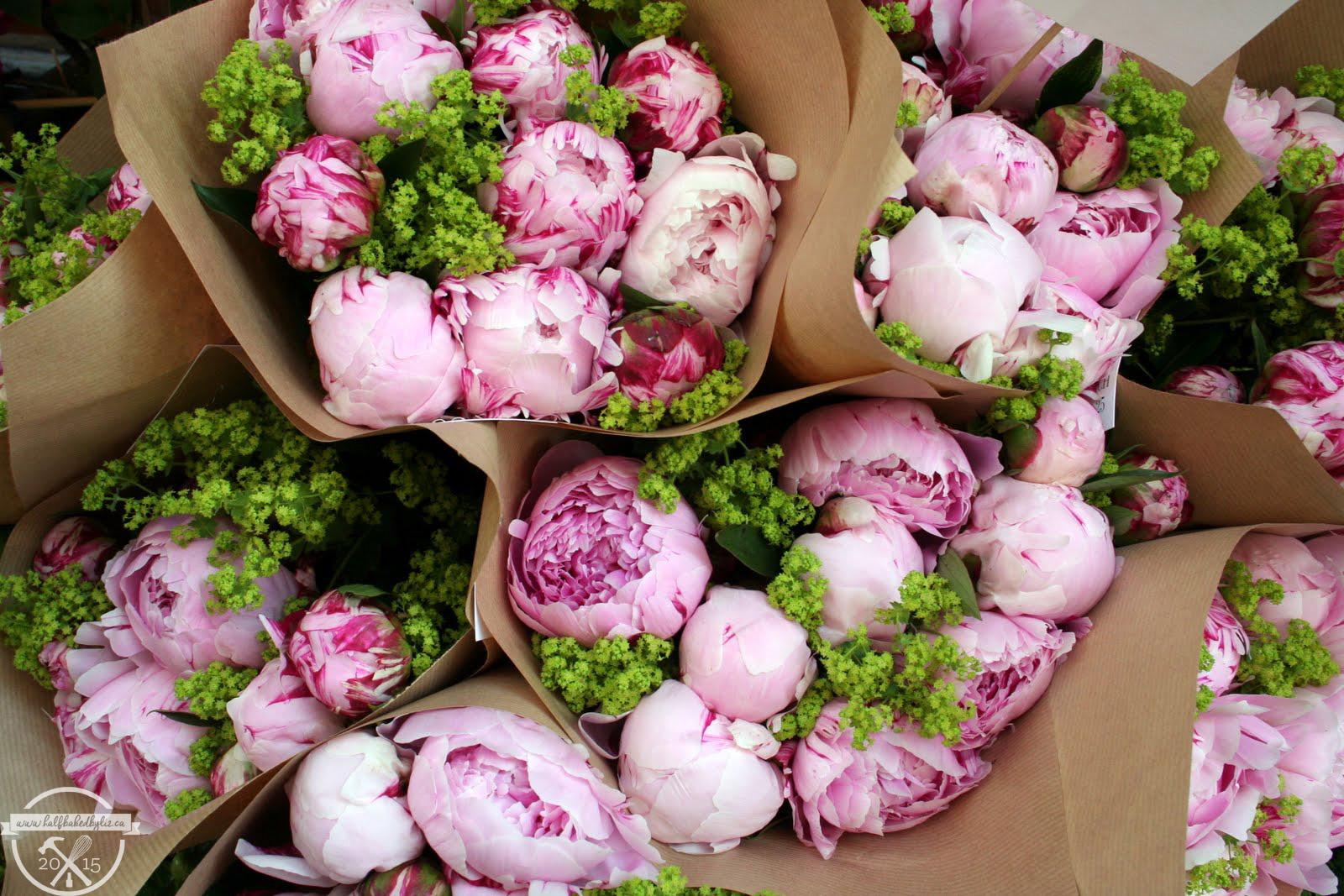 8 - Peony Season