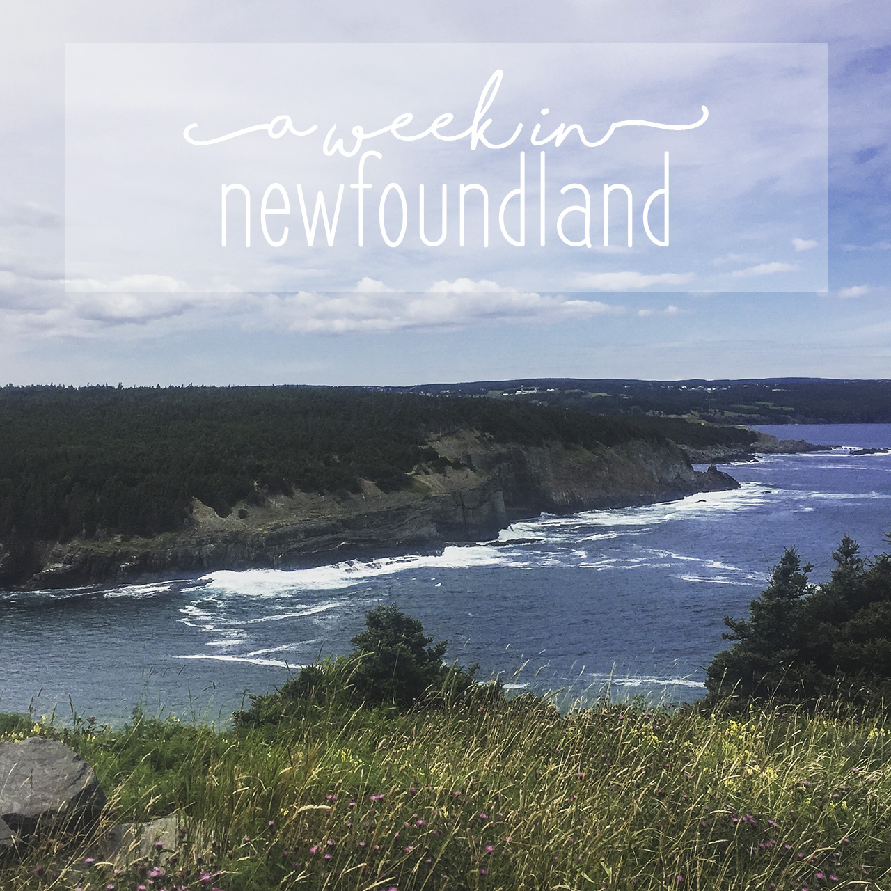 Main - A Week in Newfoundland