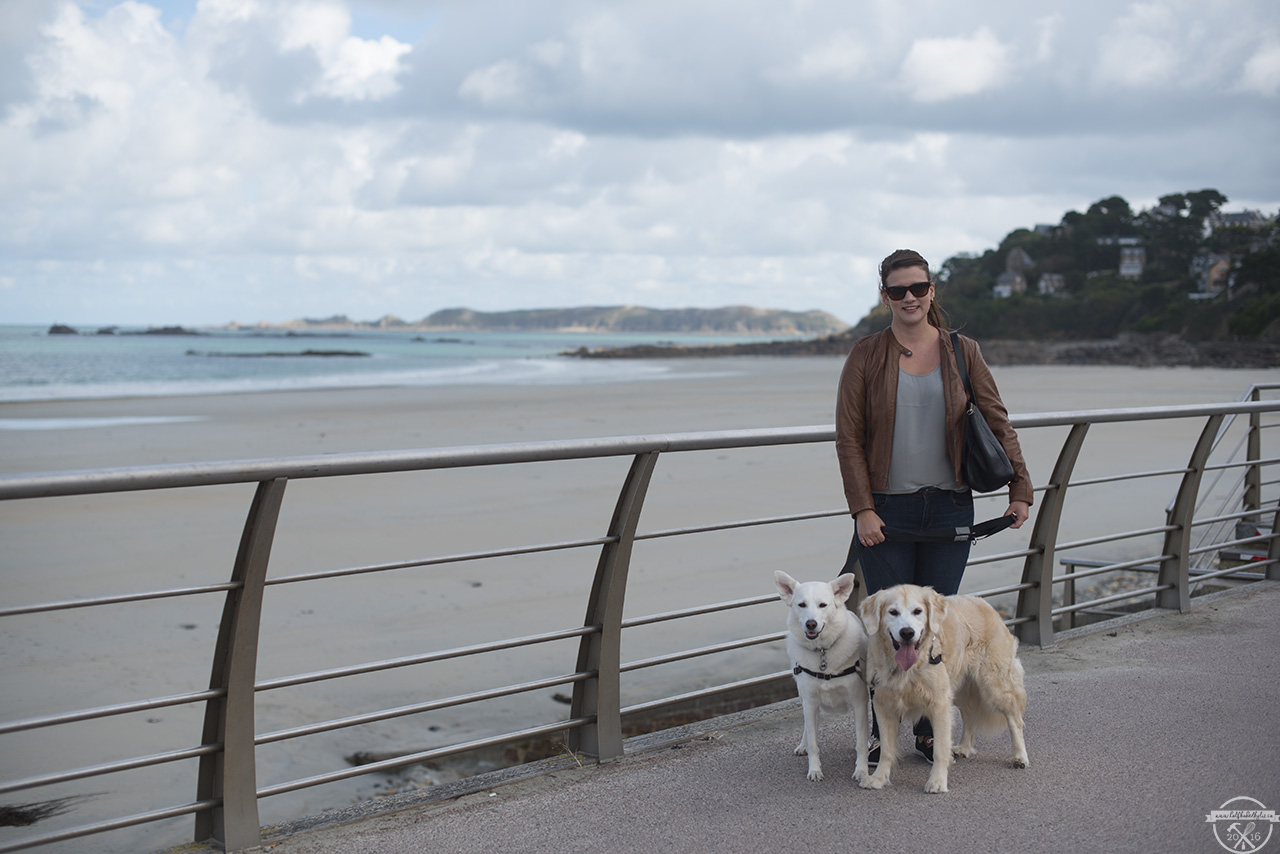 4-beach-walk-with-dogs