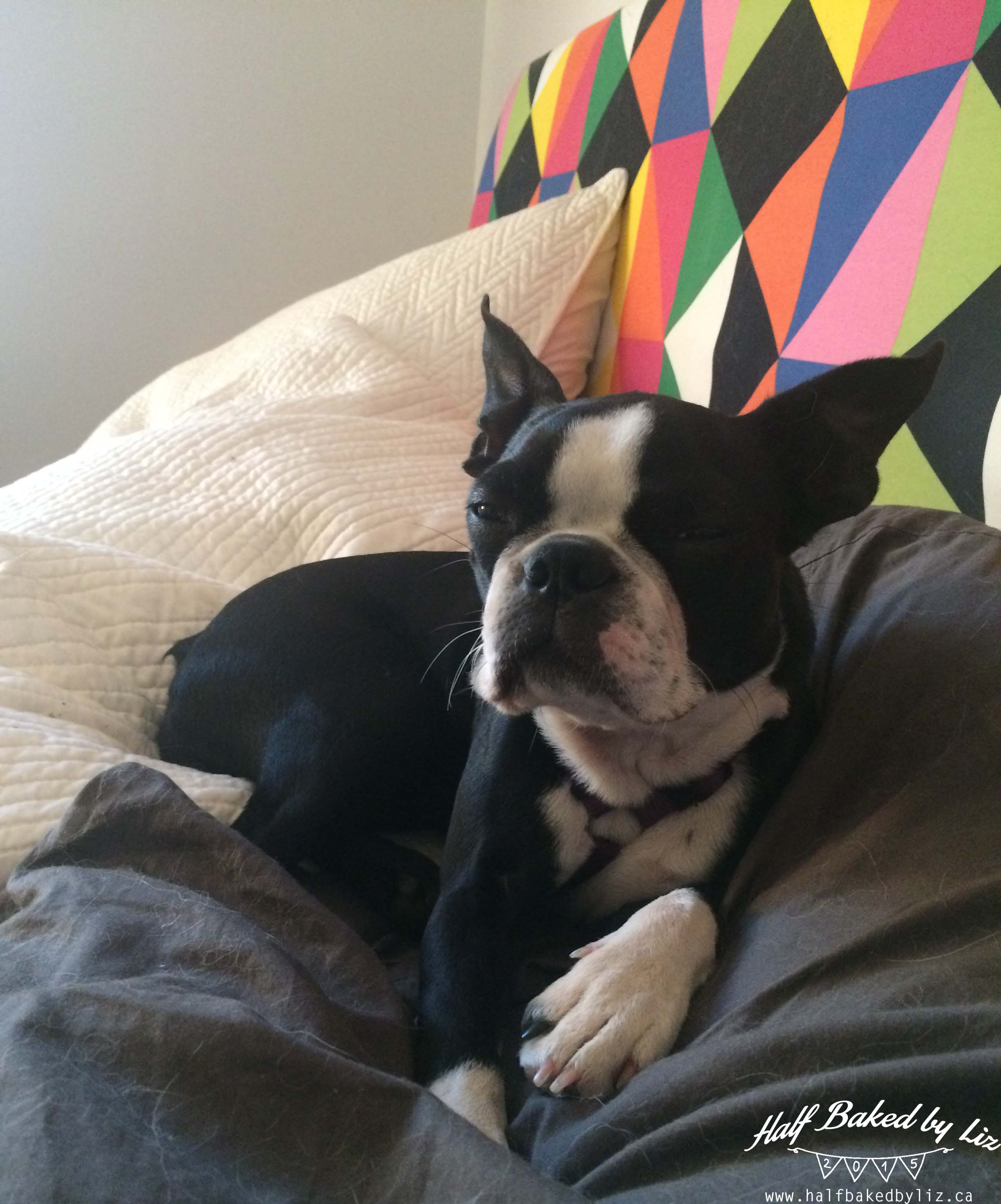 Lucy
