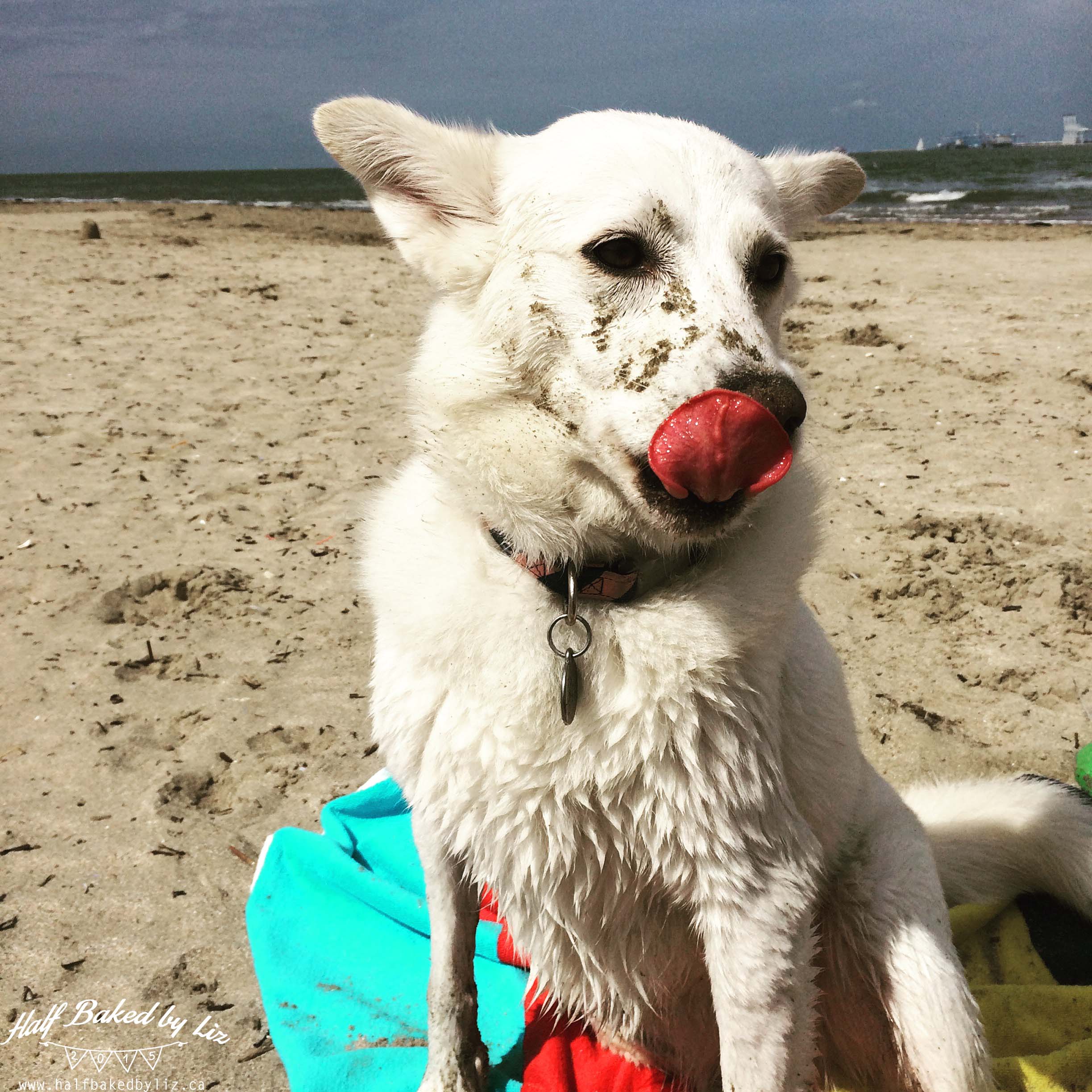 Layla at Beach