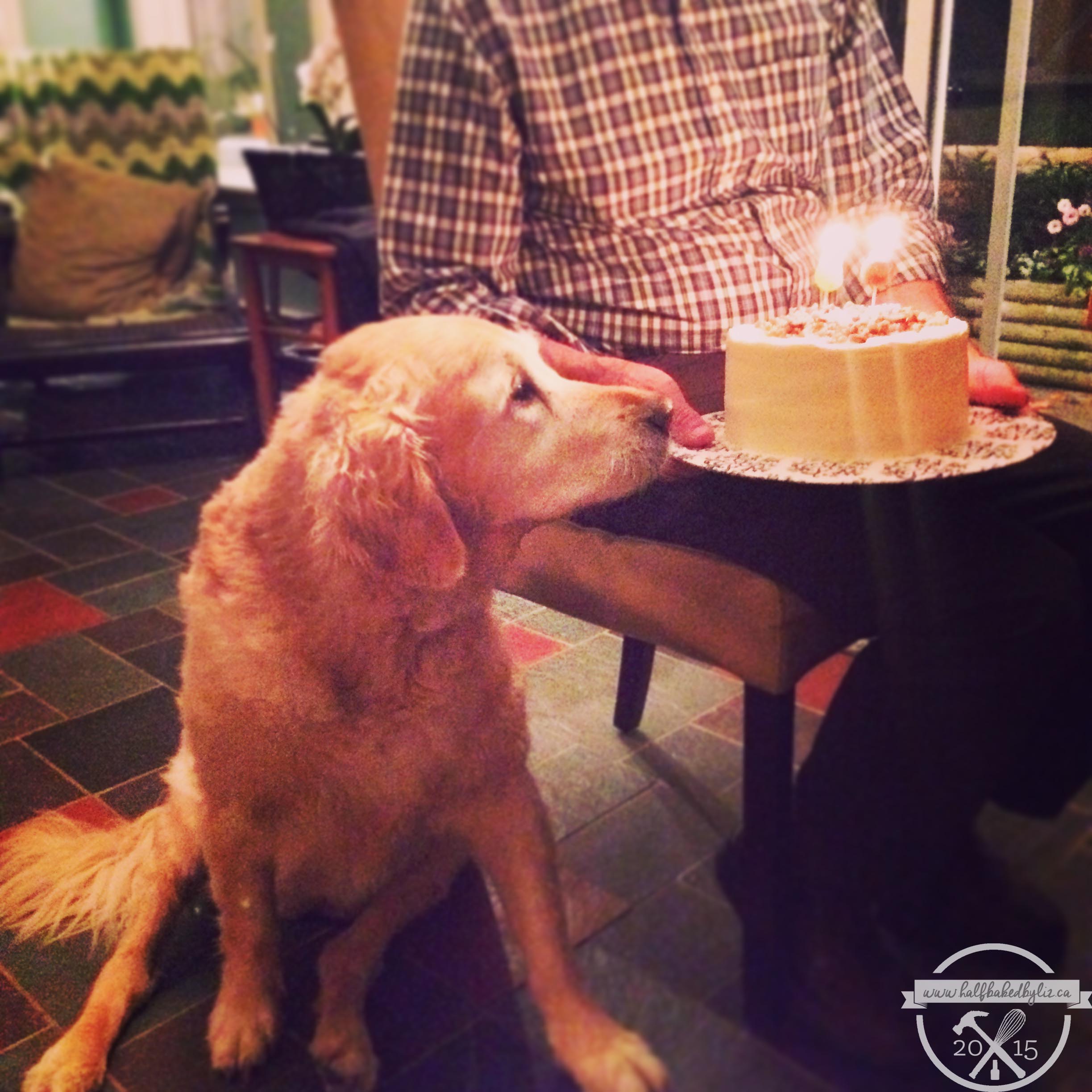 12 - Birthday Girl